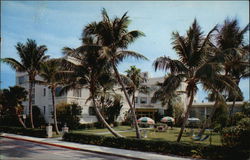 The Carlton of Palm Beach Postcard