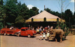 Catskill Game Farm New York Postcard Postcard Postcard