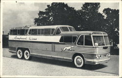 Greyhound Scenicruiser Buses Postcard Postcard Postcard