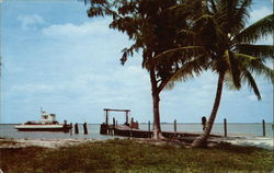 Automobile Ferry from Punta Rassa to Sanibel and Captiva Islands Postcard