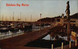 Shilshole Bay Marina Postcard