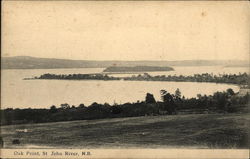 Oak Point, St. John River Postcard