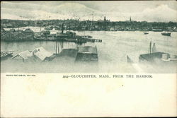 View From the Harbor Gloucester, MA Postcard Postcard Postcard