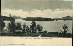 Lower Lake from Algonquin Postcard