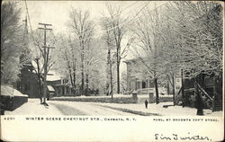 Chestnut Street - Winter Scene Oneonta, NY Postcard Postcard Postcard