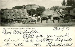 Cotton Transportation by Road Postcard