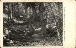 A Cool Spot in Burbee's Woods Hollis, NH Postcard Postcard Postcard