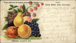 Fruit Raised in the Famous Koshkonoug District Des Moines, IA Postcard Postcard Postcard