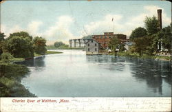 Charles River Waltham, MA Postcard Postcard Postcard