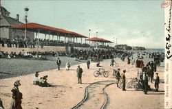 View of Beach and Patrons Postcard