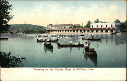 Caoneing on the Charles River Waltham, MA Postcard Postcard Postcard