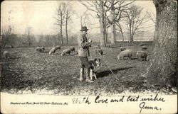 Shepherd and Flock, Druid Hill Park Postcard