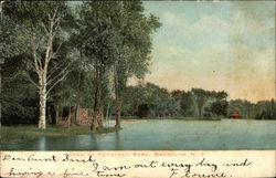 Scene in Prospect Park Postcard