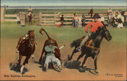 Mike Hastings Bulldogging Rodeos Postcard Postcard Postcard