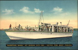 Fishing Excursion Boat "Question Mark" Postcard