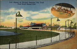 Palm Beach Kennel Club Postcard