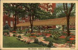 The Ridgely Terrace Garden Postcard