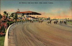 Tropical Park Race Track Postcard