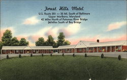 Forest Hills Motel Postcard