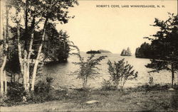 Robert's Cove Lake Winnipesaukee, NH Postcard Postcard Postcard