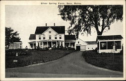 Silver Spring Farm Postcard