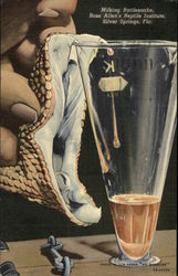 Milking Rattlesnake, Ross Allen's Reptile Institute Silver Springs, FL Postcard Postcard Postcard