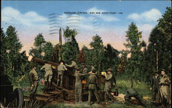 Service Firing, 240 mm Howitzer Army Postcard Postcard Postcard