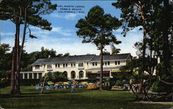 Del Monte Lodge Postcard