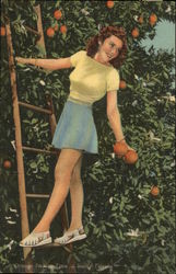 Orange Picking Time Florida Postcard Postcard Postcard