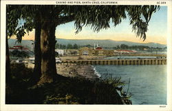 Casino and Pier Postcard