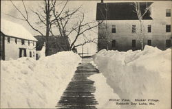 Winter View, Shaker Village,Sabbathday Lake New Gloucester, ME Postcard Postcard Postcard