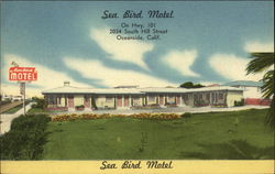 Sea Bird Motel Postcard