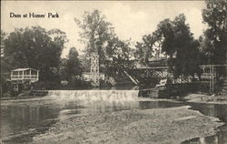 Dam at Homer Park Postcard