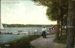 Salem Willows Massachusetts Postcard Postcard Postcard