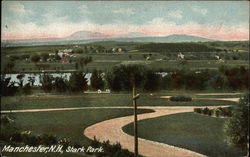 Stark park Postcard