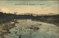 Ammonoosuc River, Mt. Washington in the Distance Postcard