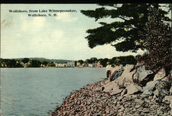 Lake Winnepesaukee Postcard