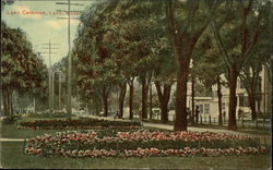 View of Common Postcard