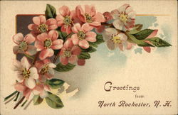 Greetings from North Rochester, NH Postcard