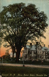 Mary Baker Eddy's Favorite Elm Concord, NH Postcard Postcard Postcard