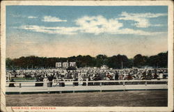 Show Ring, Brockton Fair Massachusetts Postcard Postcard Postcard