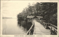 Kissing Bridge, Lake Carasaljo Postcard