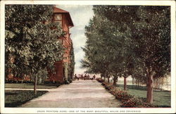 Union Printers Home Colorado Springs, CO Postcard Postcard Postcard