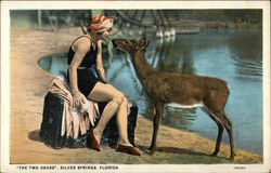 The Two Dears Silver Springs, FL Postcard Postcard Postcard