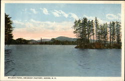 Wilson Pond, Swanzey Factory Postcard