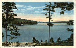 Middlesex Fells Reservation Malden, MA Postcard Postcard Postcard