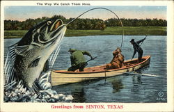 Greetings from Sinton Texas Postcard Postcard Postcard