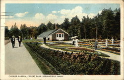 Flower Garden, Forest Park Springfield, MA Postcard Postcard Postcard