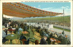 Agua Caliente Jockey Club and Race Track Mexico Postcard Postcard Postcard