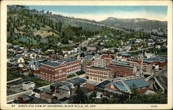 Bird's Eye View of Deadwood Postcard